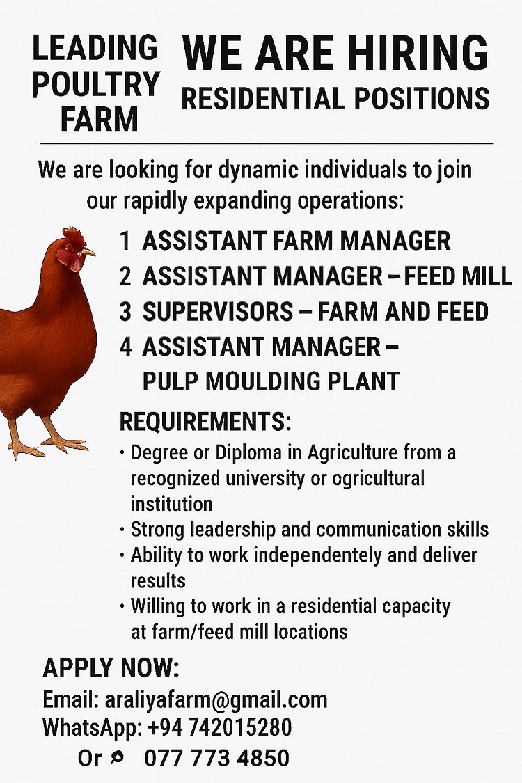 Company banner