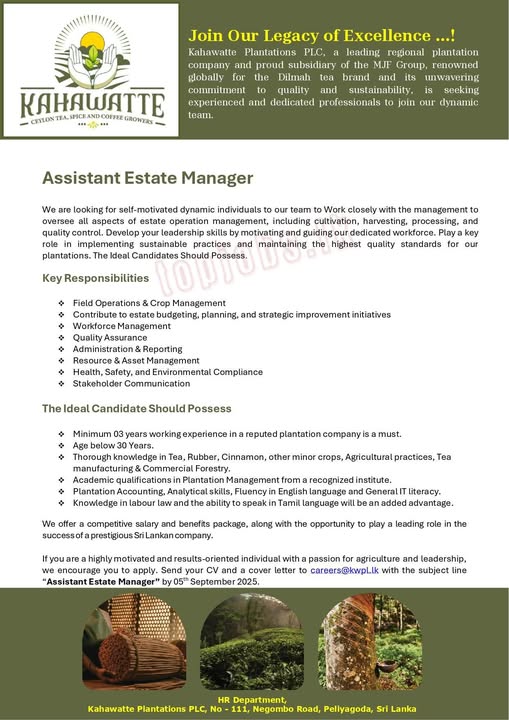 Company banner