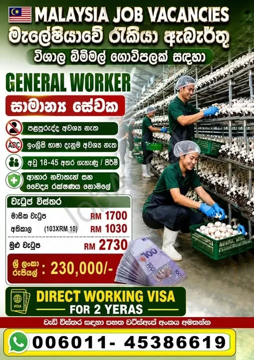 Company banner