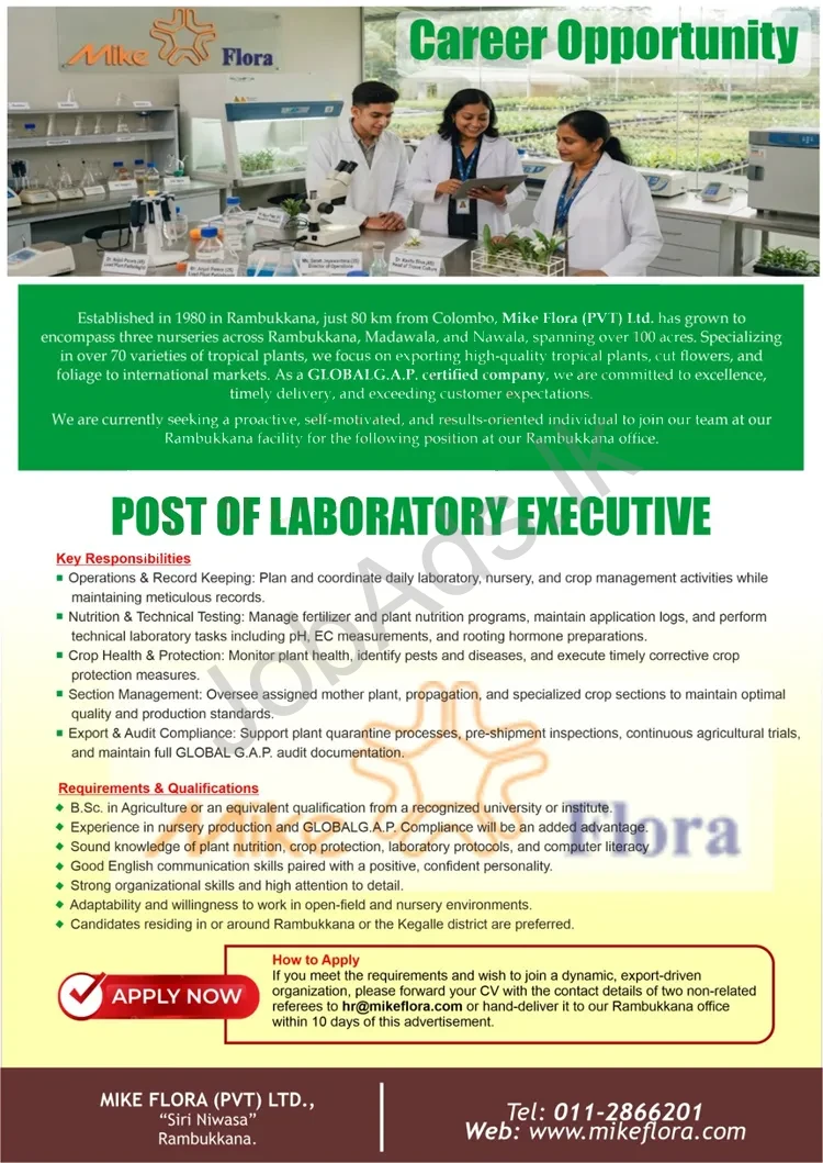 Company banner