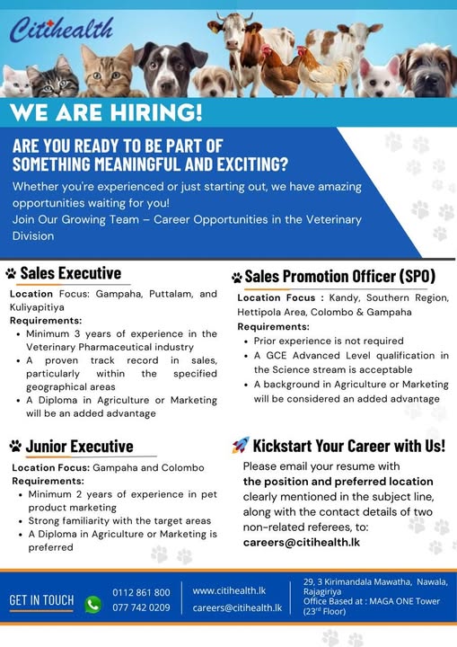 Company banner