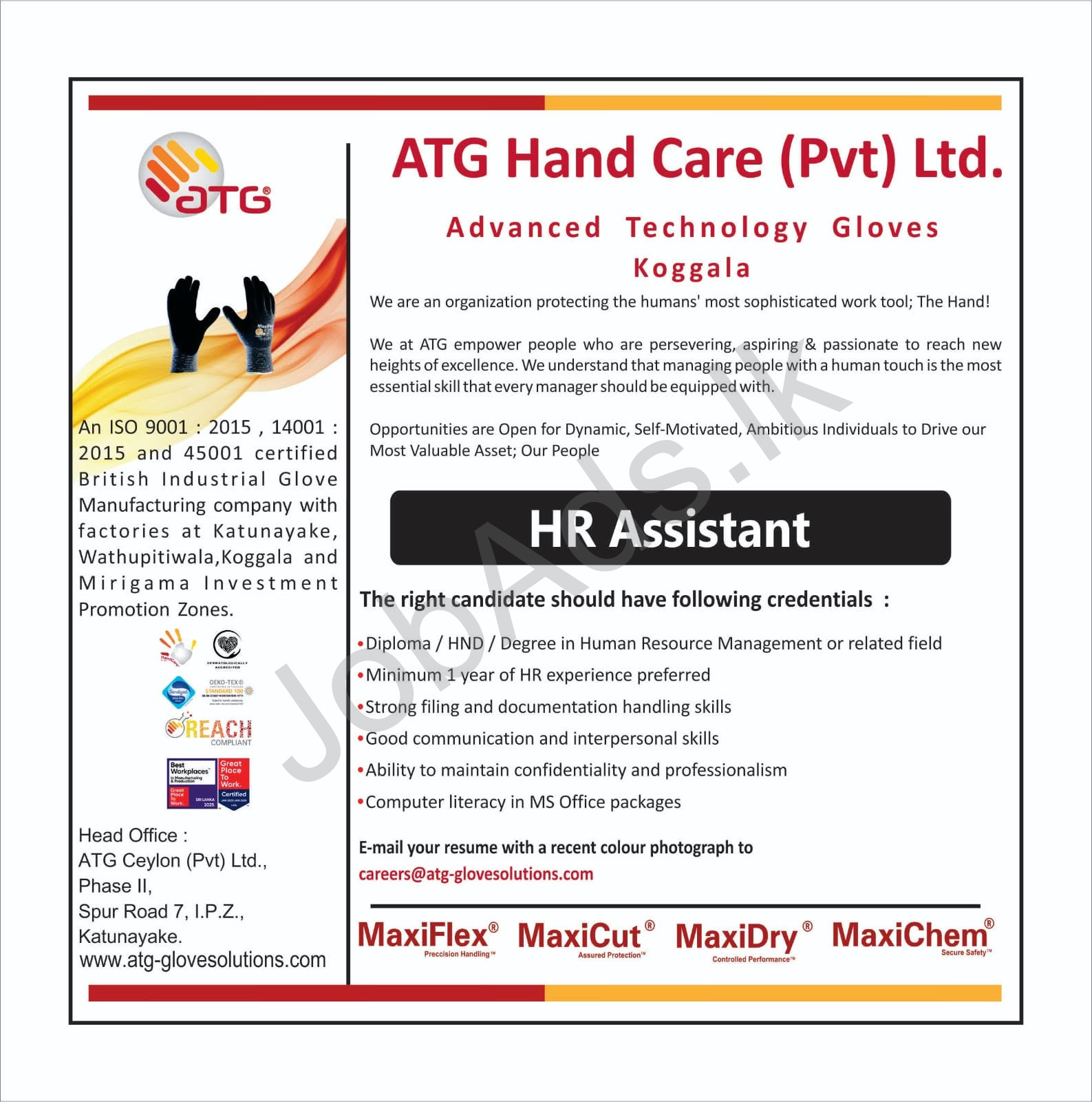 Company banner