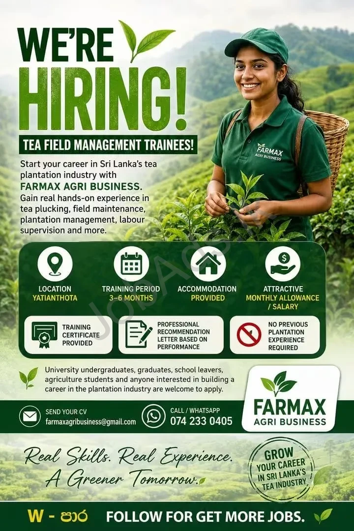 Company banner